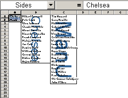 Excel worksheet showing range names