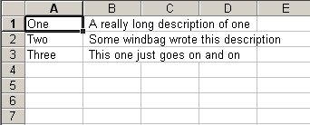 Text file after importing into Excel